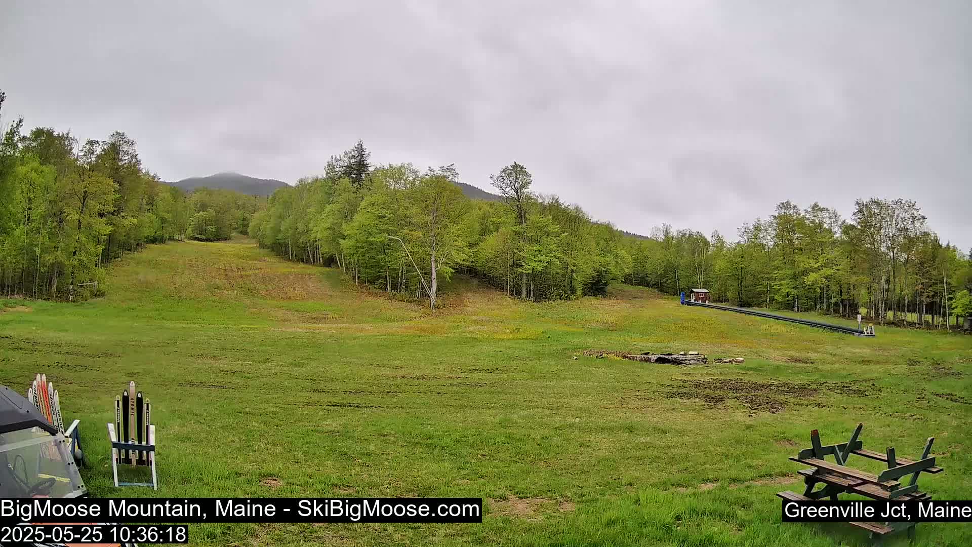 A grassy field with a ski lift in the background, under an overcast sky, surrounded by green deciduous trees and a mountain in the distance.