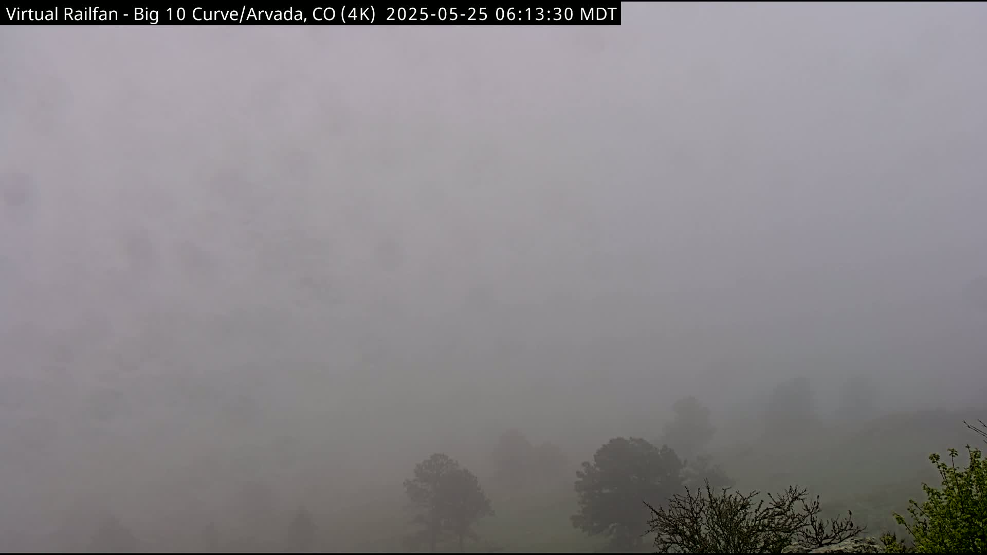 A thick fog obscures a landscape of trees and low-lying vegetation.