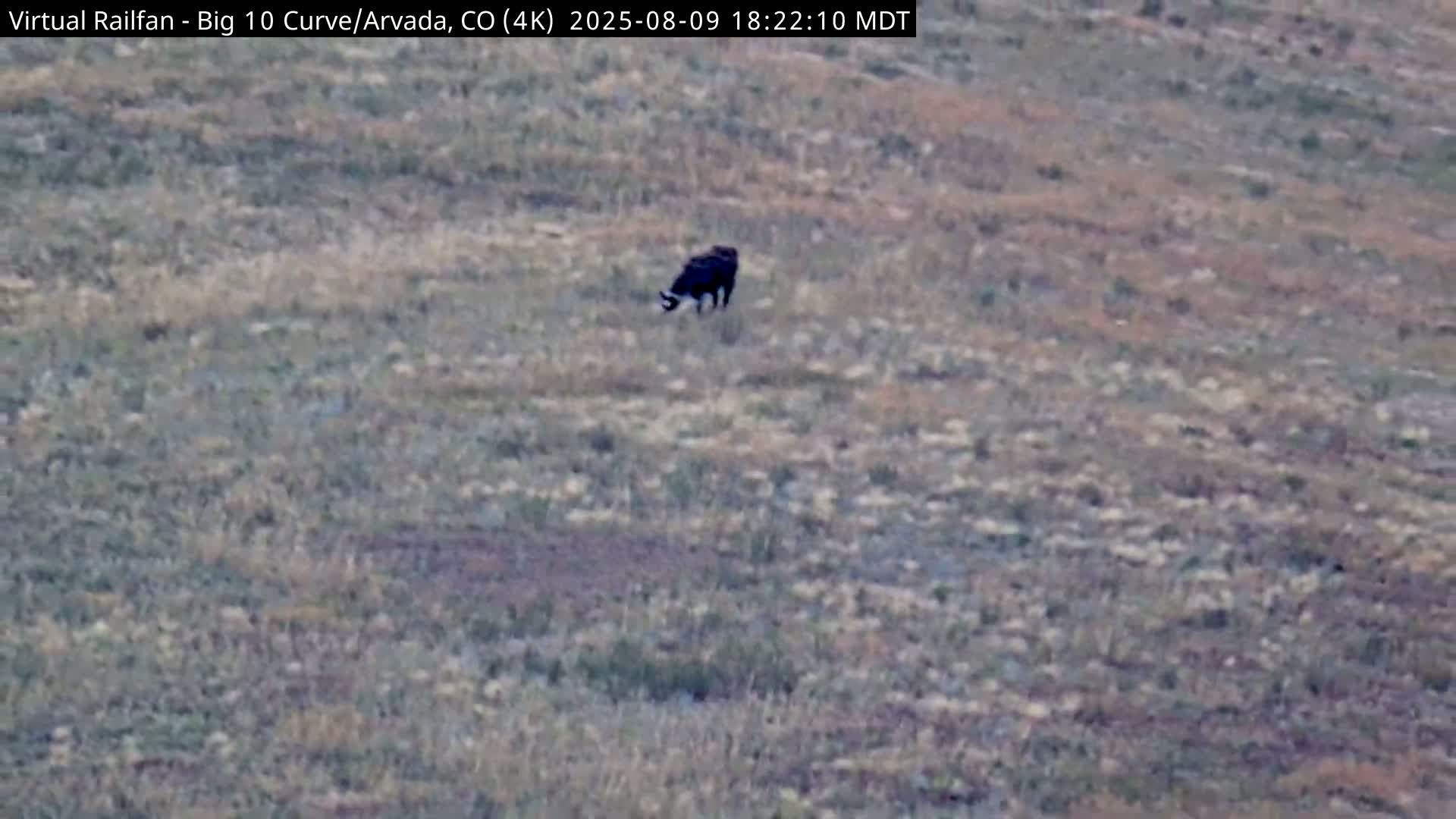 Denver Skyline  & Arvada Big  10 Curve Railroad Live Cam - Arvada, Jefferson, Colorado, USA