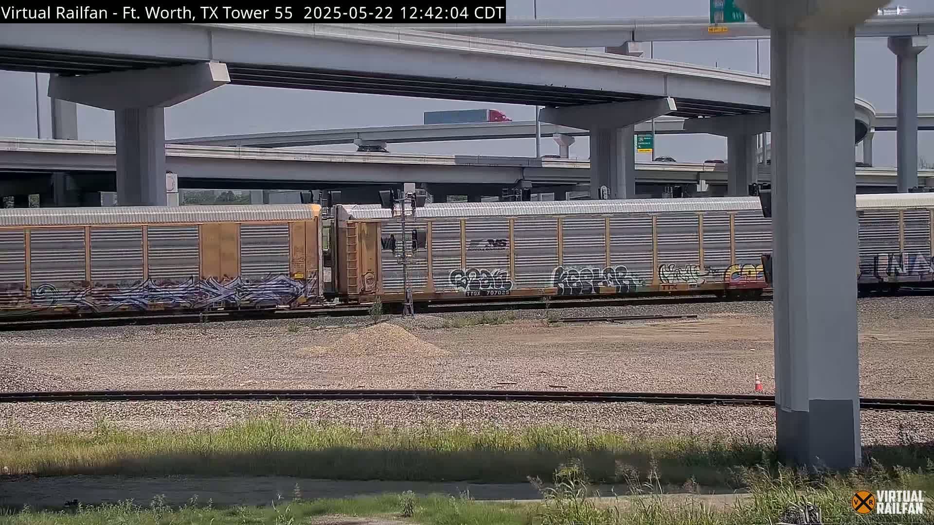 Under a mostly clear sky, several graffiti-covered train cars sit on tracks beneath a large highway overpass.