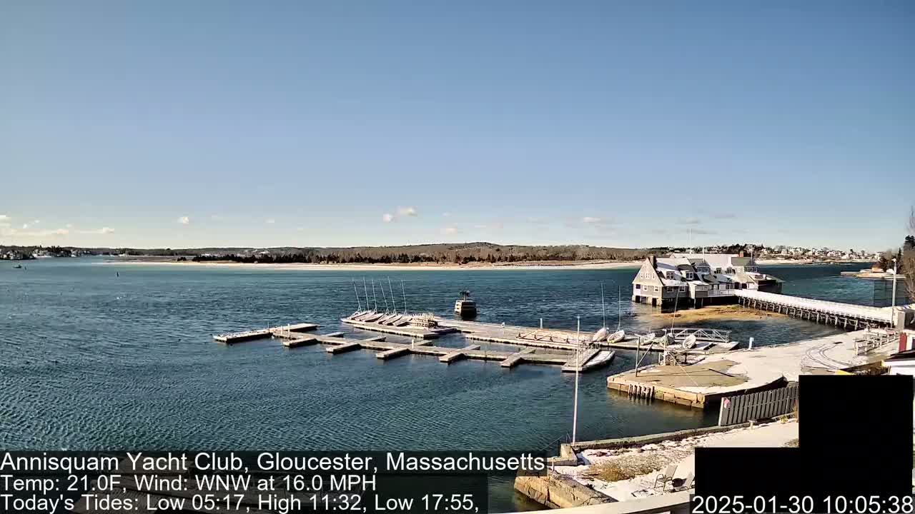 A waterfront yacht club with numerous boats docked at its piers under a clear, sunny sky.