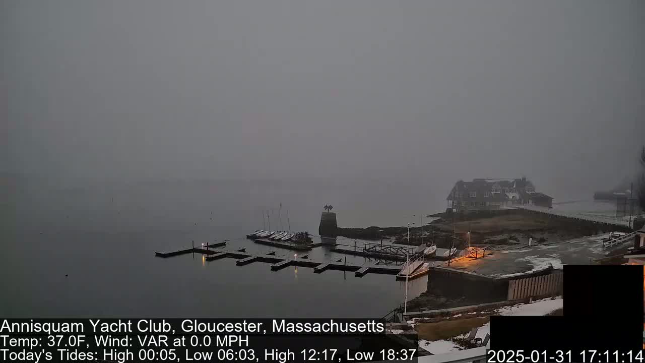 A foggy marina with boats docked at piers and a building on the shoreline, under a gray sky.