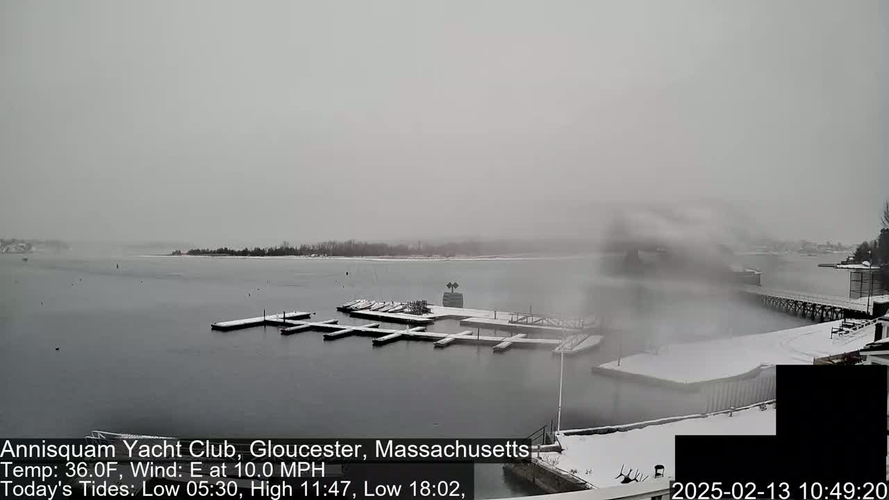 A snow-covered marina with several empty boat slips is visible on a foggy, gray day.