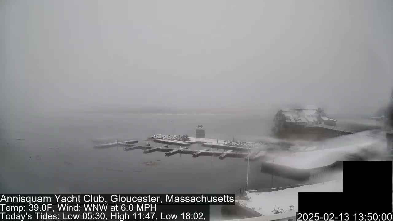 A snow-covered marina with boats docked at a waterfront building is visible through a thick fog.