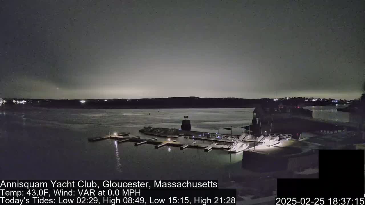 A nighttime view of a marina with boats docked, under a dark, overcast sky.