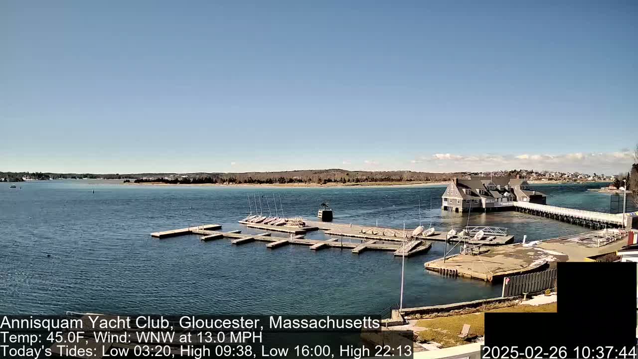 A calm, sunny day shows a marina with numerous small sailboats docked at a waterfront building.