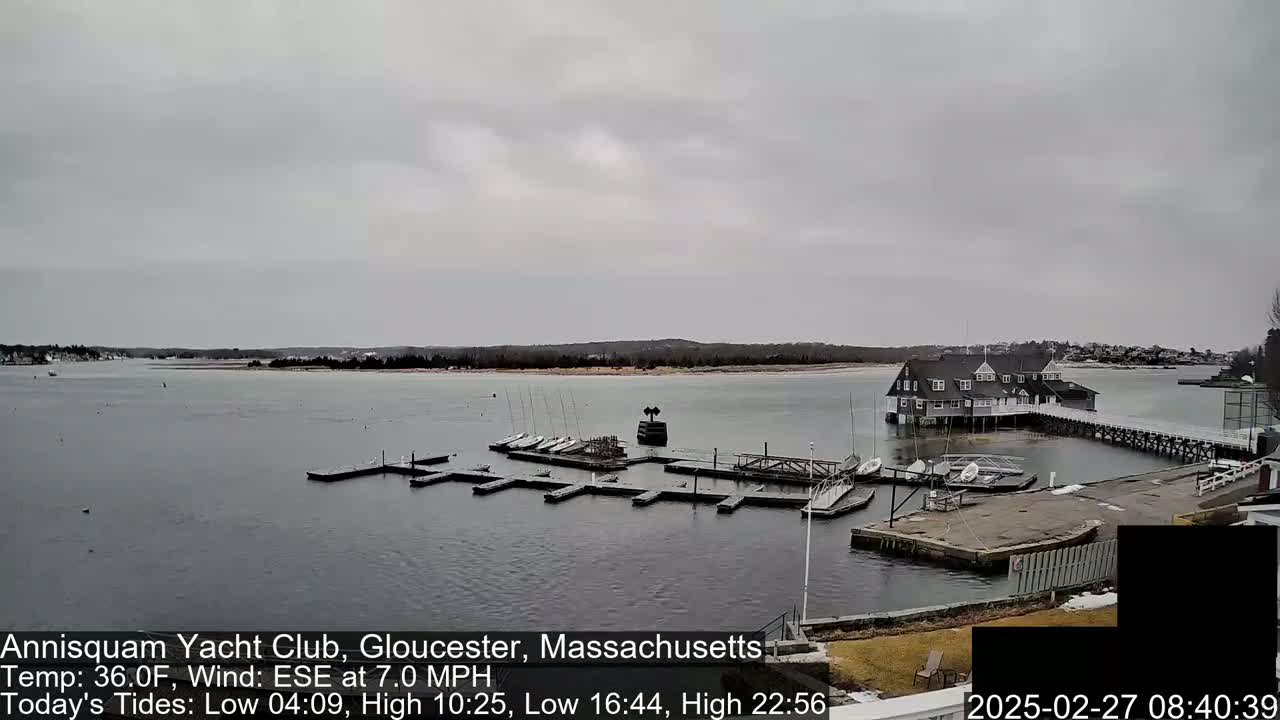 A marina with numerous small sailboats docked at piers, situated on a calm body of water under an overcast sky.