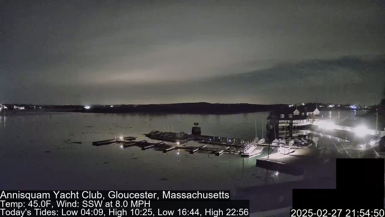 A nighttime view of a marina with docked boats under a dark, overcast sky.