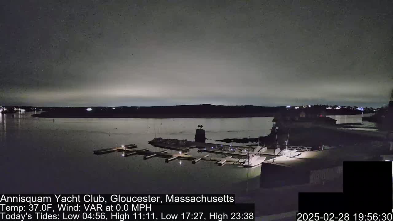 A nighttime view of a calm harbor with docked boats under a dark, clear sky.