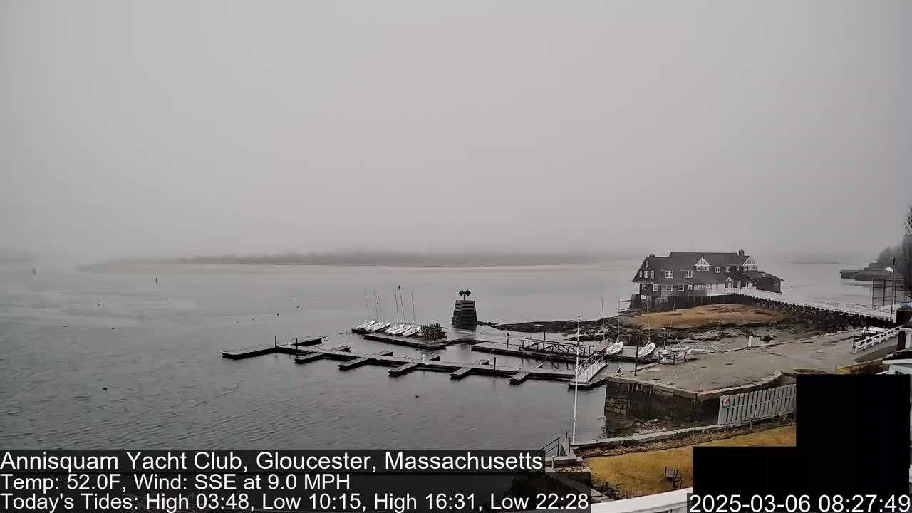 A foggy view of a yacht club and its docks on a calm body of water.