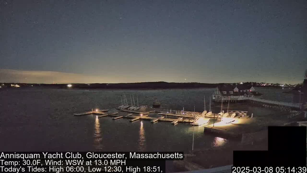 A nighttime view of a marina with several sailboats docked, under a clear, dark sky with a gentle wind.