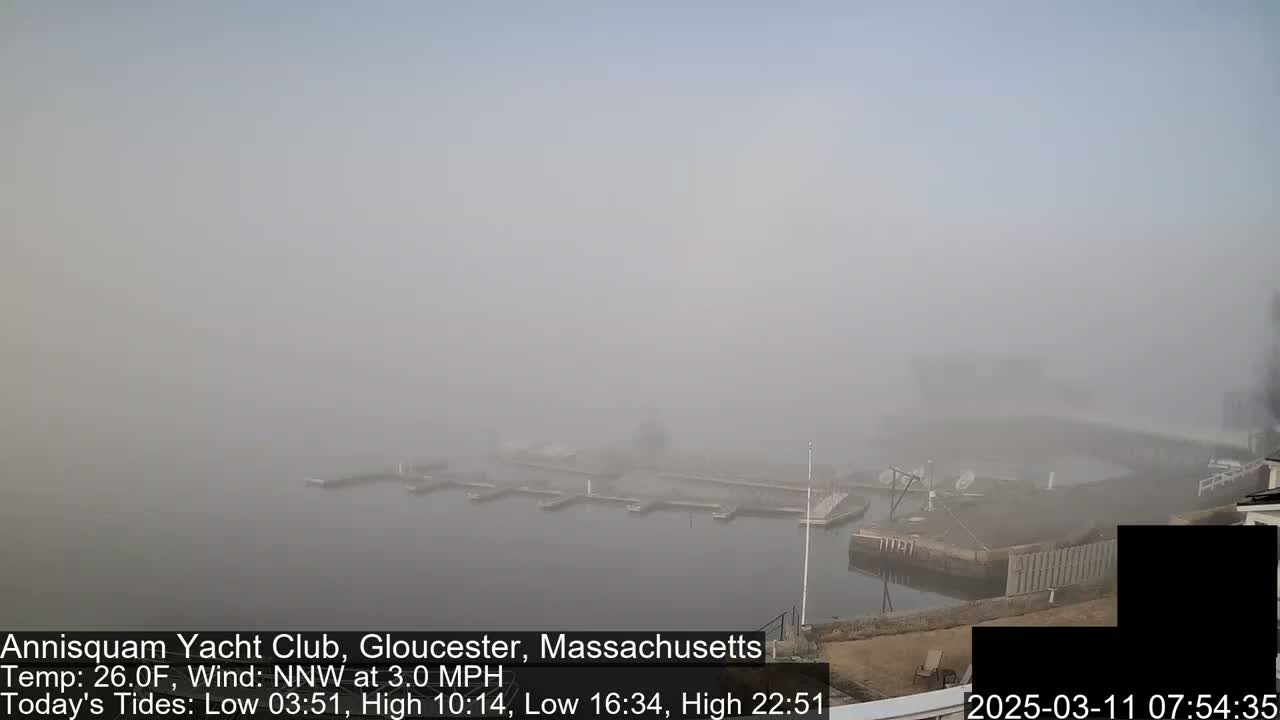 A foggy marina with several boats docked at slips is visible in the distance.