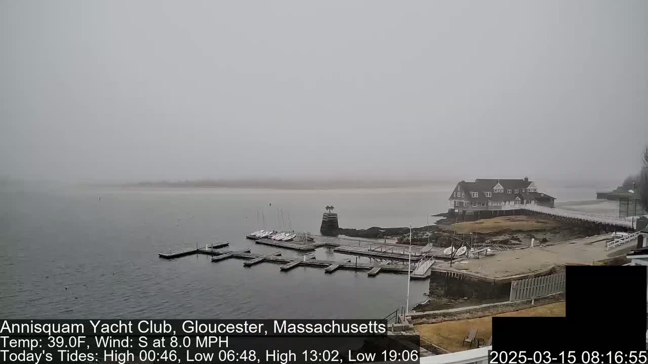 A foggy day shows a marina with several docked sailboats and a clubhouse situated on the waterfront.