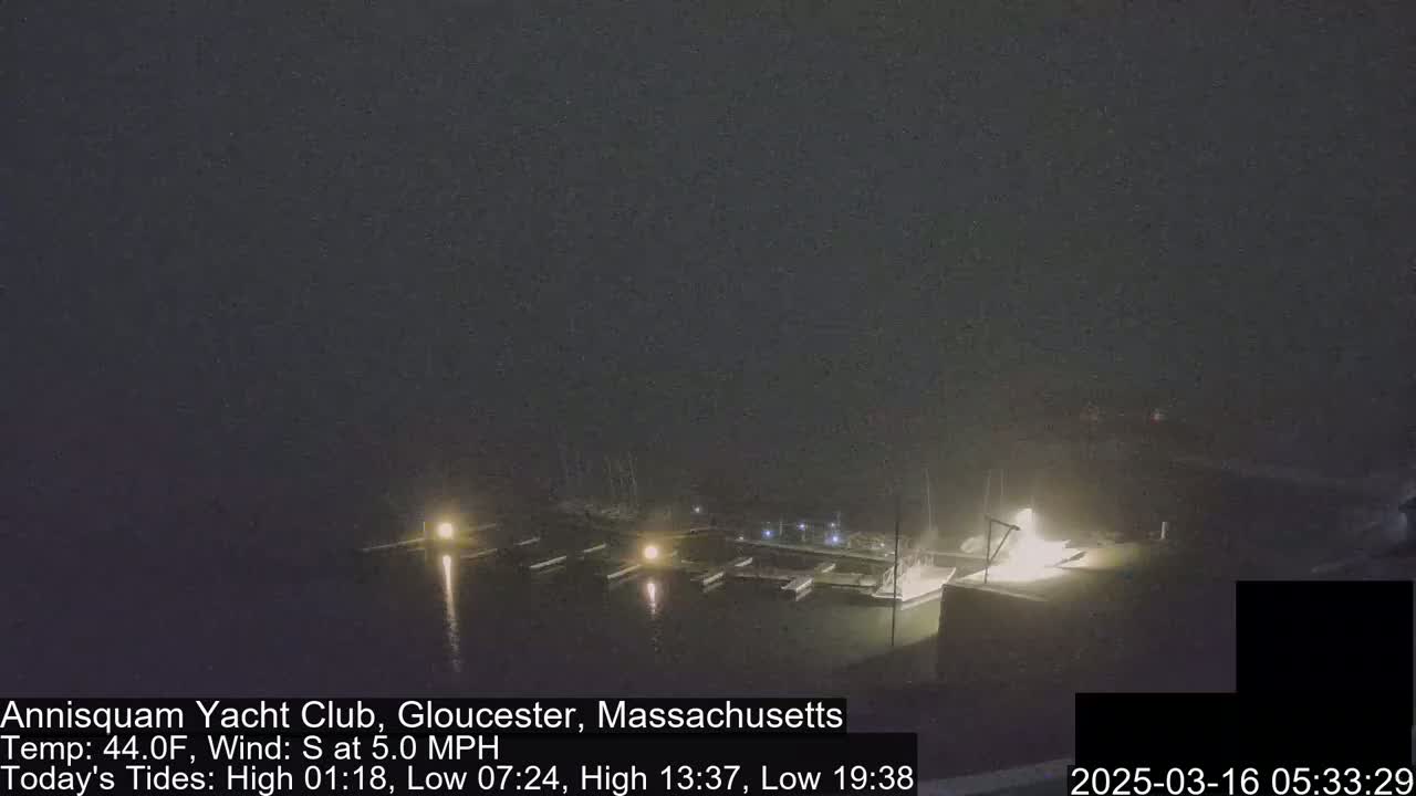 A nighttime, foggy view of a marina with several boats docked, lit by dim lights.