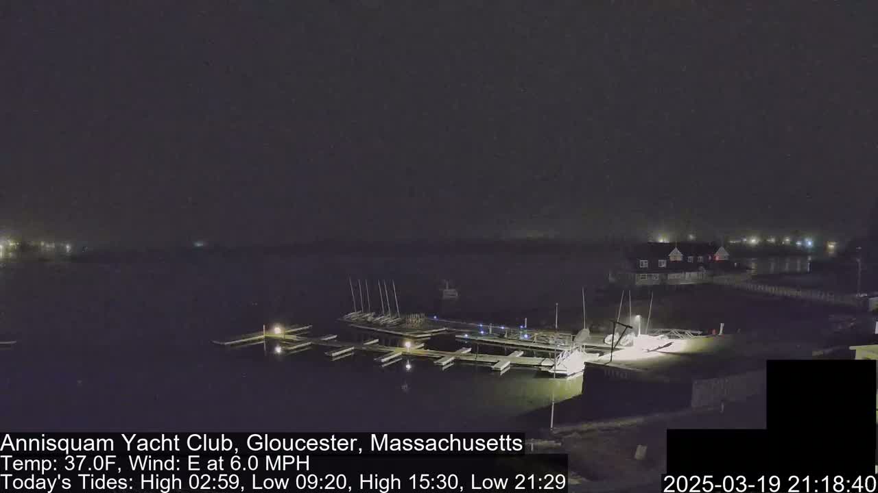A nighttime view of a marina with boats docked under a foggy sky.
