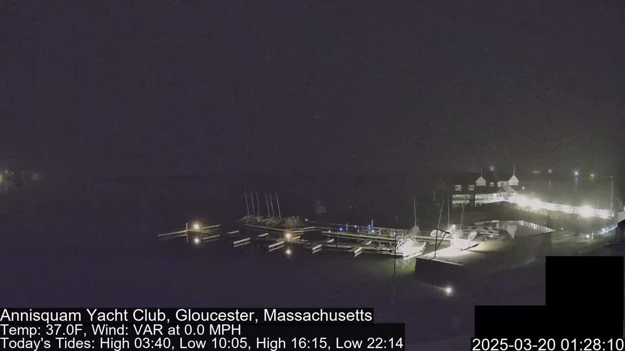 A nighttime view of a marina with boats docked, under a dark, hazy sky.