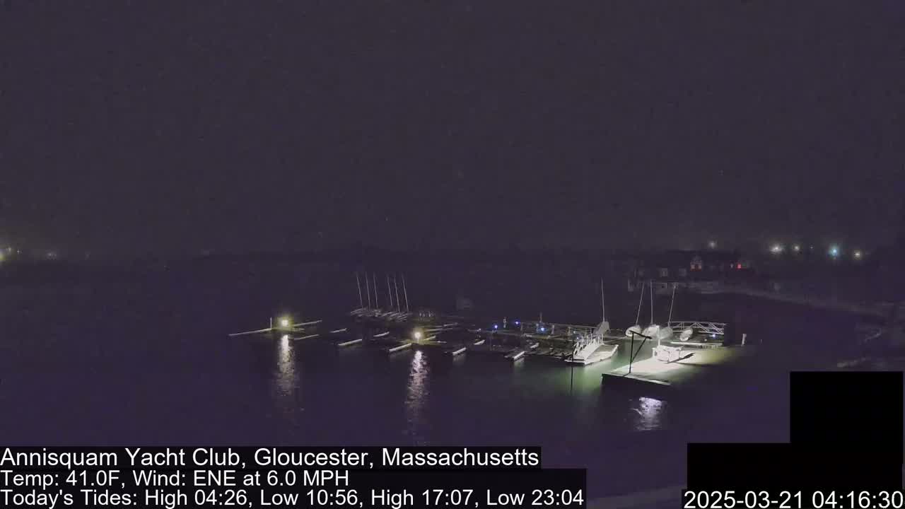 A nighttime view of a marina with numerous boats docked, under a dark, slightly hazy sky.