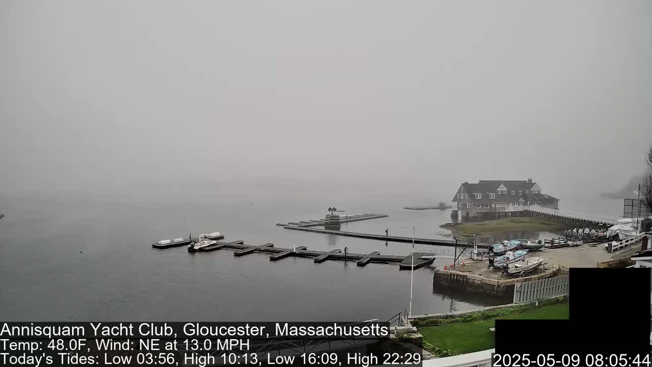 A foggy marina scene shows a clubhouse, several docked boats, and walkways, all under a thick fog.