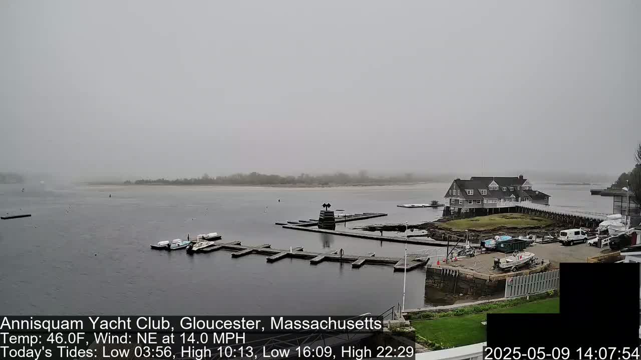 A foggy, overcast day shows a yacht club on a body of water with several boats docked, and other boats and vehicles in a parking area nearby.