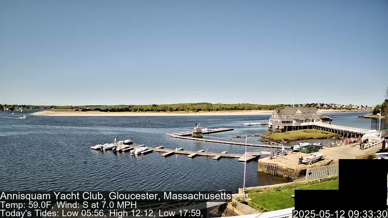 A sunny day shows a calm body of water with several boats docked at a marina next to a large building, with a sandy shoreline and trees in the background.