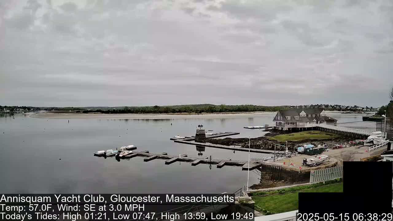 A marina with several boats docked under an overcast sky.