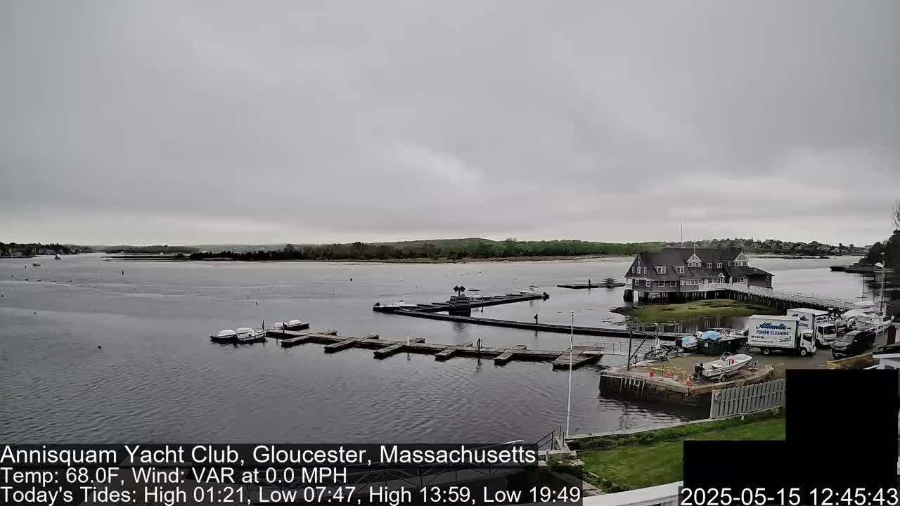 A calm, overcast day reveals a yacht club with boats docked at its piers, situated on a body of water surrounded by greenery.