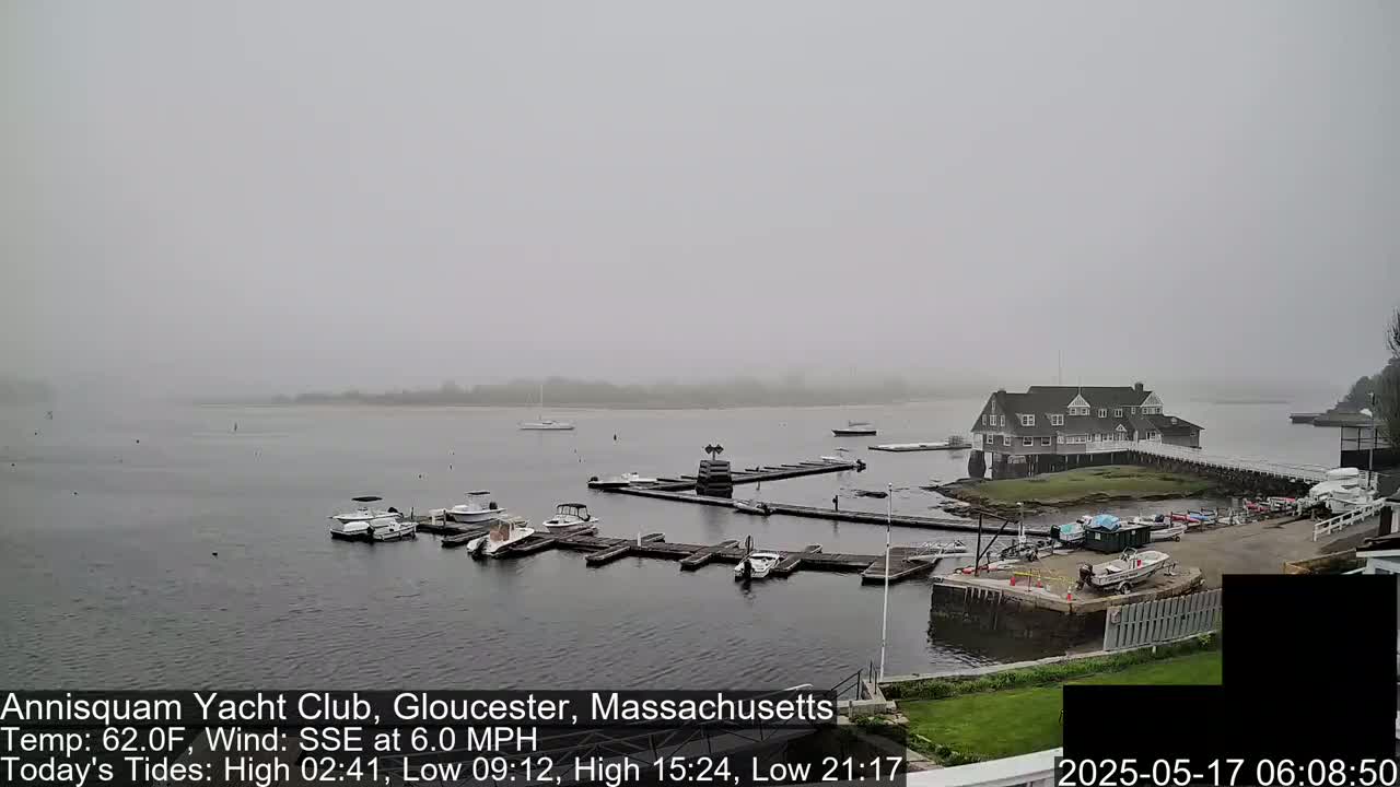 A foggy view of a marina with several boats docked, a clubhouse, and a calm body of water.