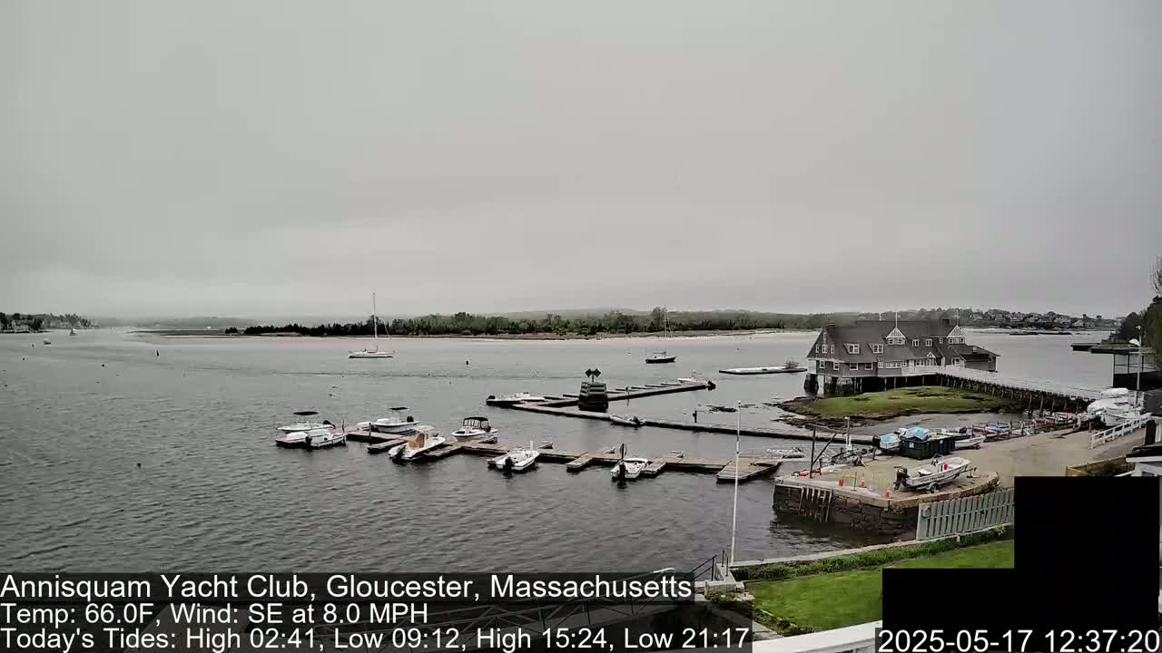 A calm, overcast day shows a marina with numerous boats docked, a clubhouse situated on an island, and a surrounding shoreline.