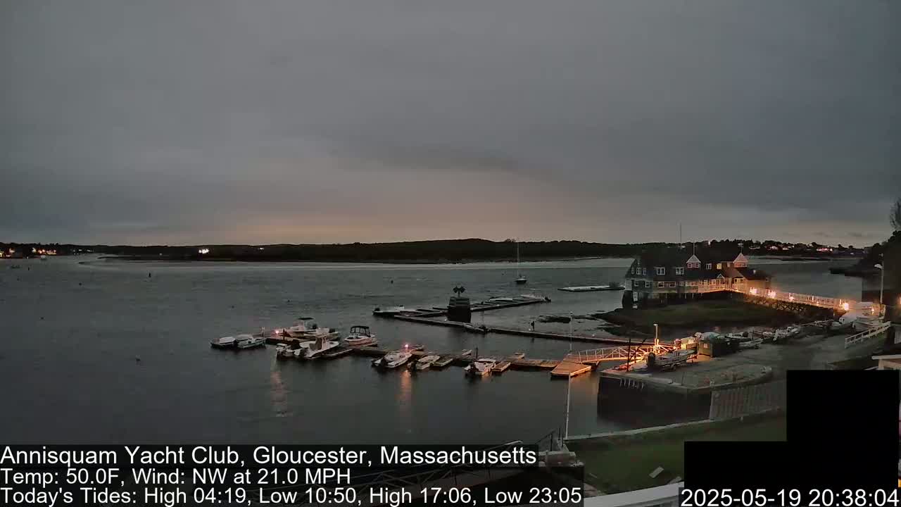 A marina with numerous boats docked at twilight under an overcast sky.
