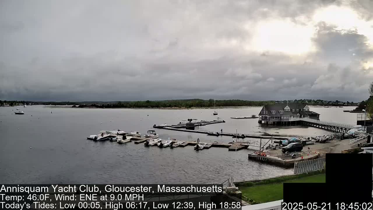 A marina with numerous boats docked under an overcast sky.