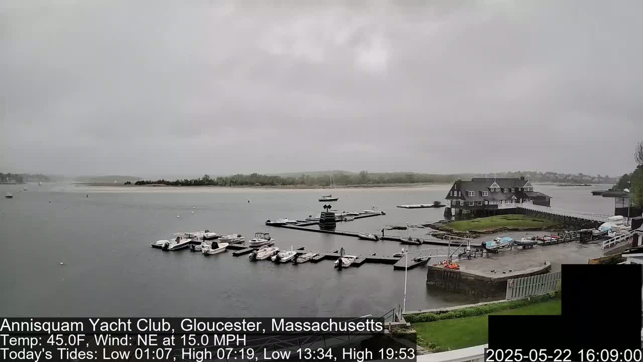 A marina with numerous boats docked under an overcast sky.
