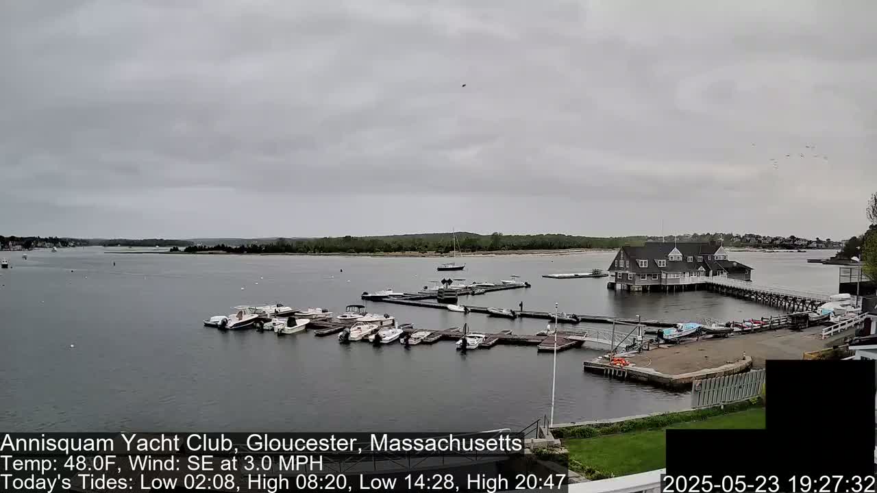 A marina filled with numerous boats is situated on a calm body of water under an overcast sky.