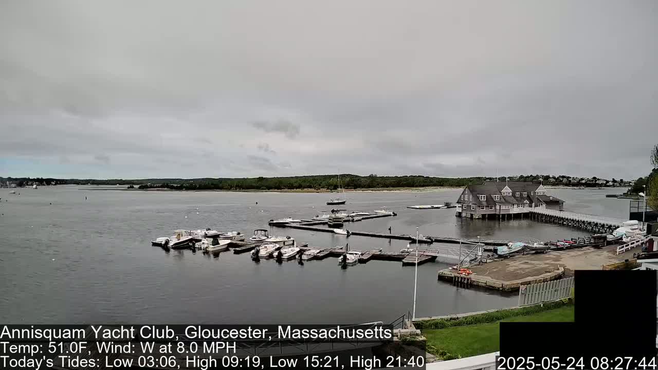 A marina filled with numerous boats is situated near a large building under an overcast sky.