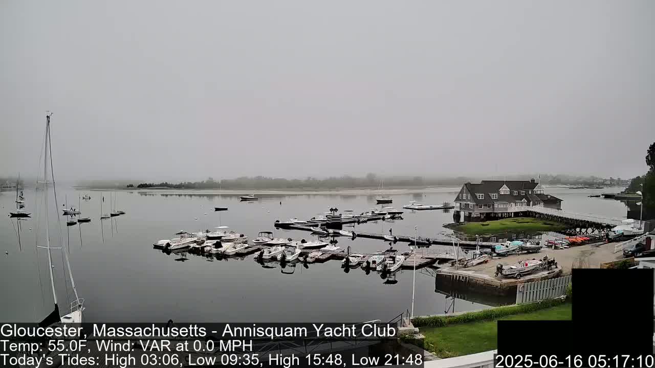 A foggy view of a marina with numerous boats docked, a clubhouse, and calm water.