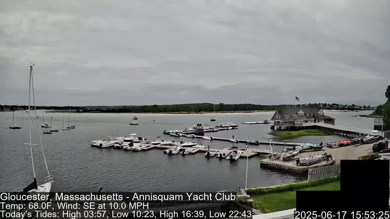 A marina filled with numerous boats is shown under an overcast sky, with a calm body of water and a clubhouse visible in the background.