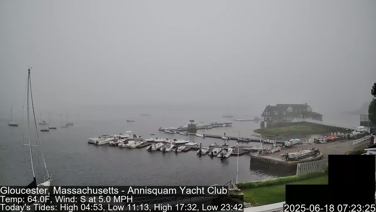 A foggy view of a harbor with numerous boats docked near a clubhouse.