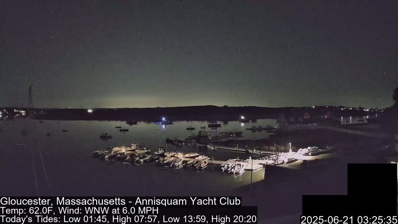Many boats are docked at a marina under a clear, starry night sky.