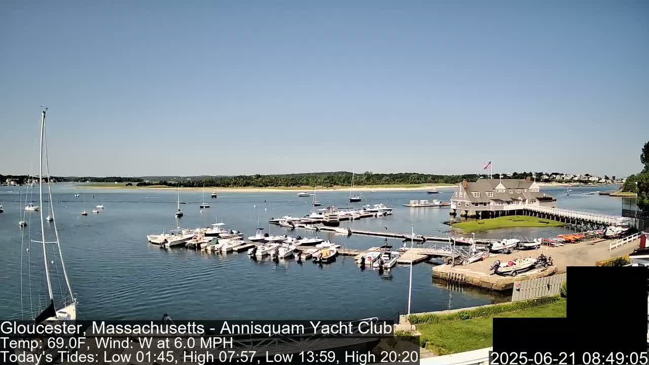 A marina filled with numerous boats is situated on a calm body of water under a clear, sunny sky.