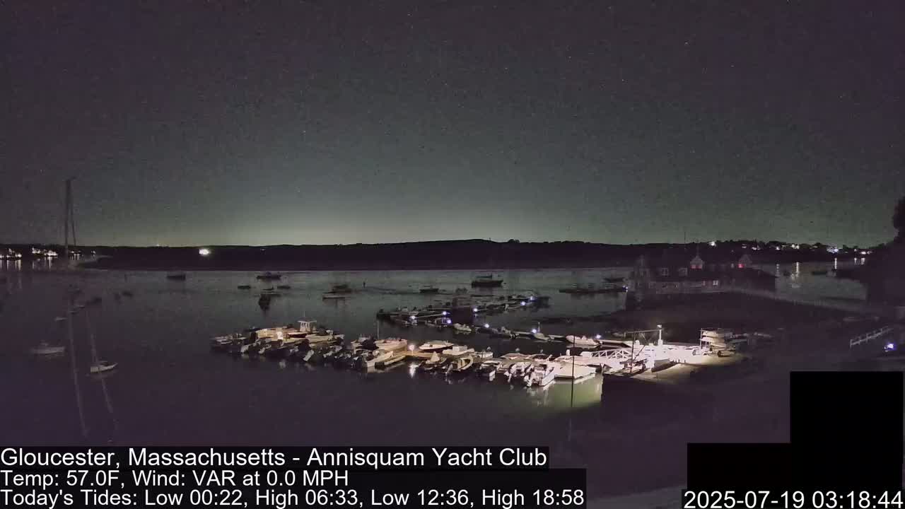 A nighttime view of a calm harbor filled with docked boats under a clear, starry sky.
