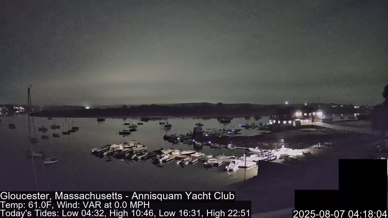 A nighttime view of a calm harbor filled with boats docked near a lit building under a dark, overcast sky.