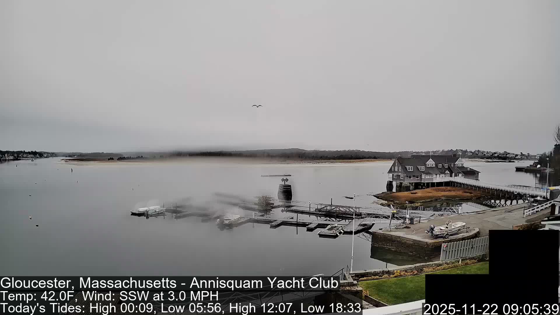 Annisquam Yacht Club Live Cam - Gloucester, Massachusetts, USA 