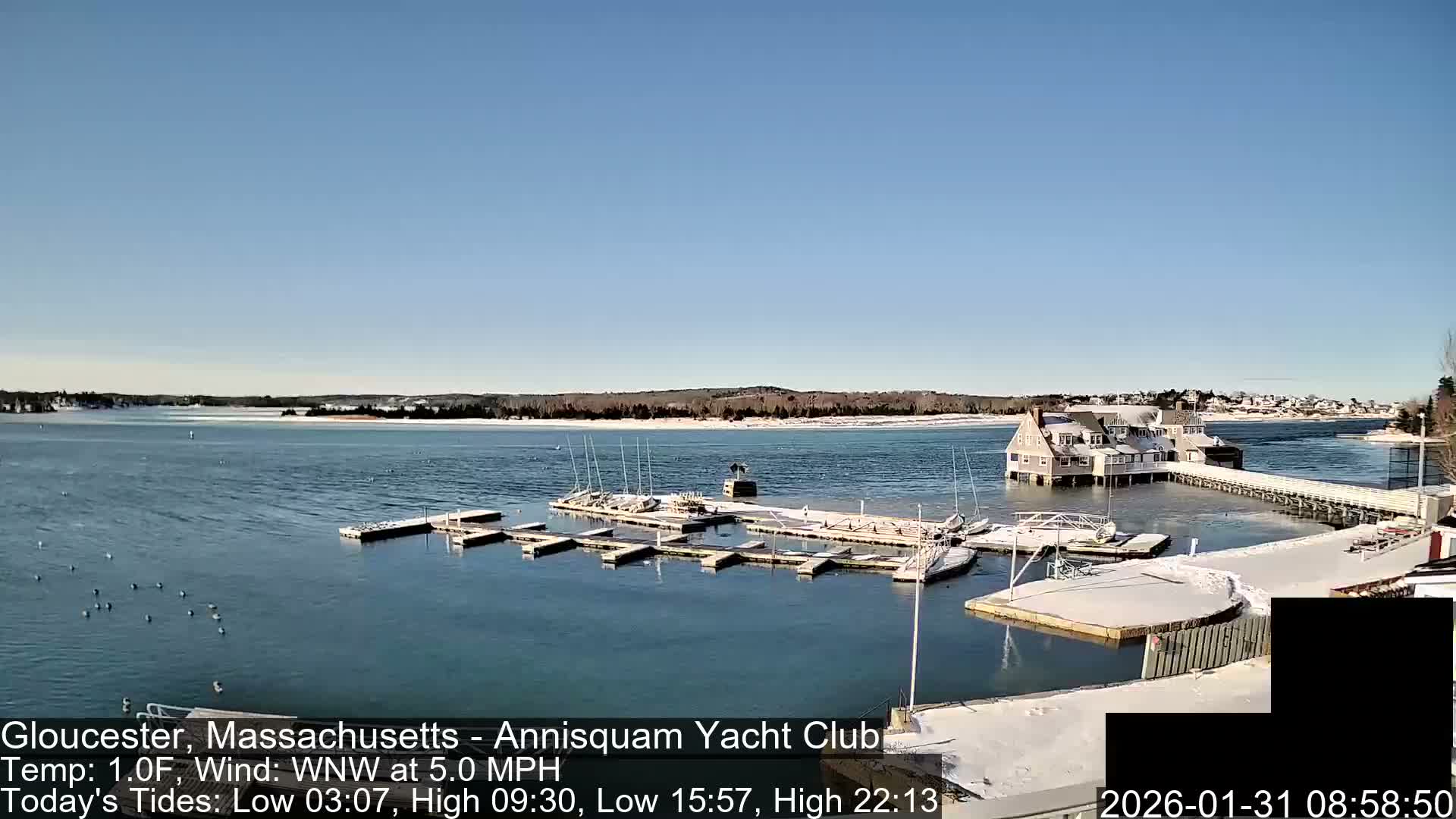 Annisquam Yacht Club Live Cam - Gloucester, Massachusetts, USA 