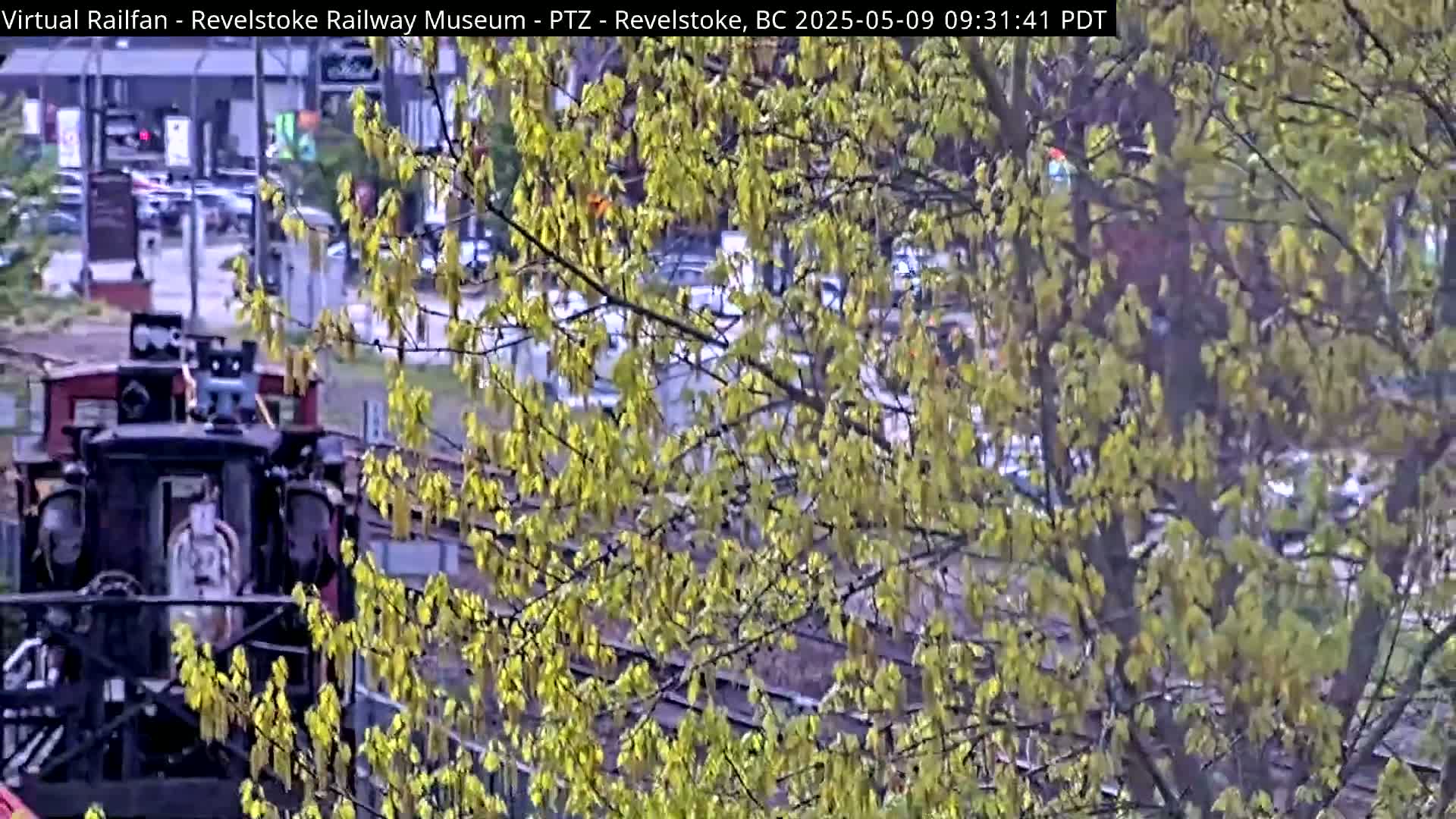 A dark-colored train engine is partially visible through the branches of a tree with light green leaves, in what appears to be a daytime outdoor setting.