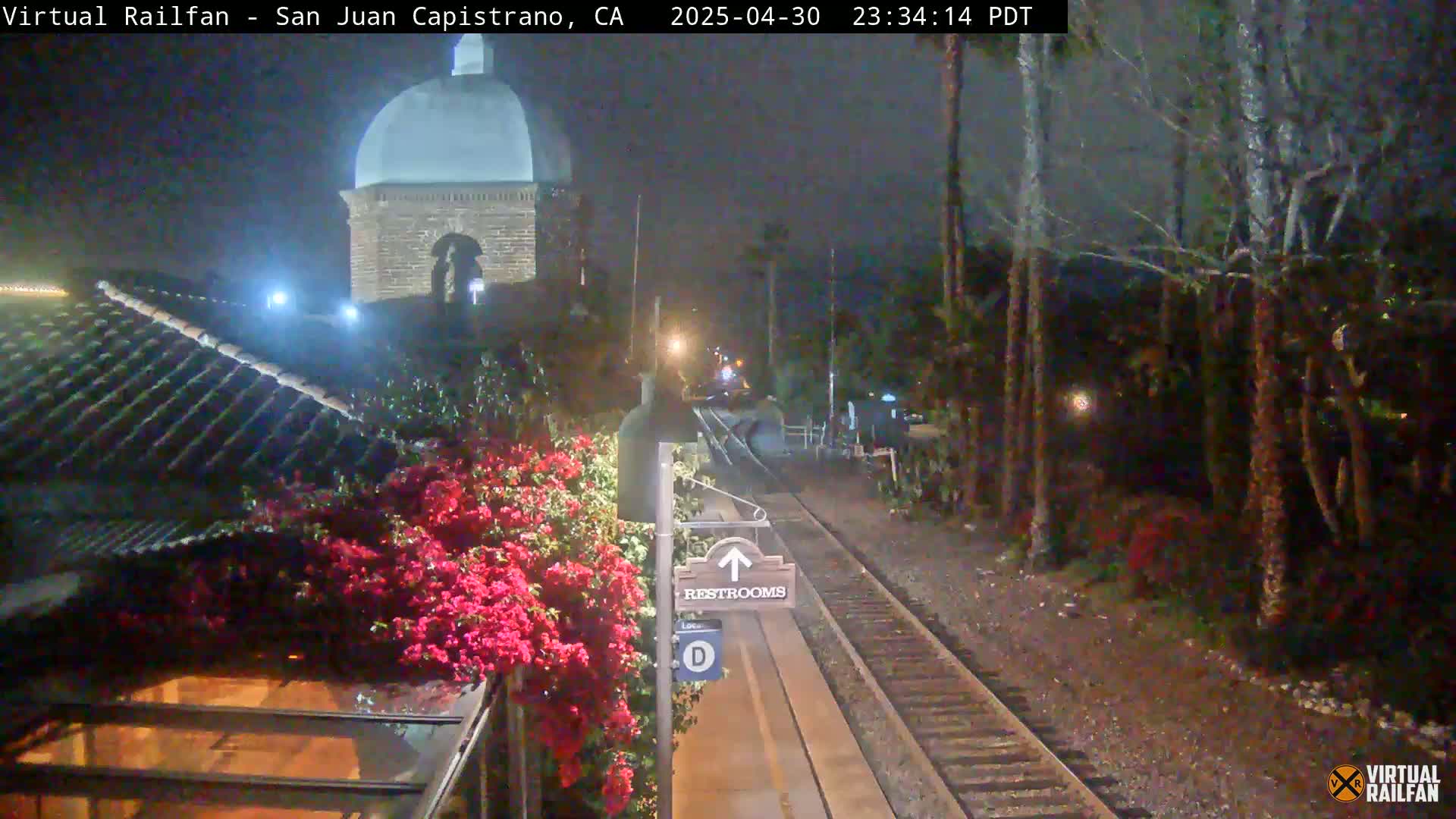 A nighttime view of a train station platform with railroad tracks, a domed building in the background, and vibrant pink flowers in the foreground under a dark sky.
