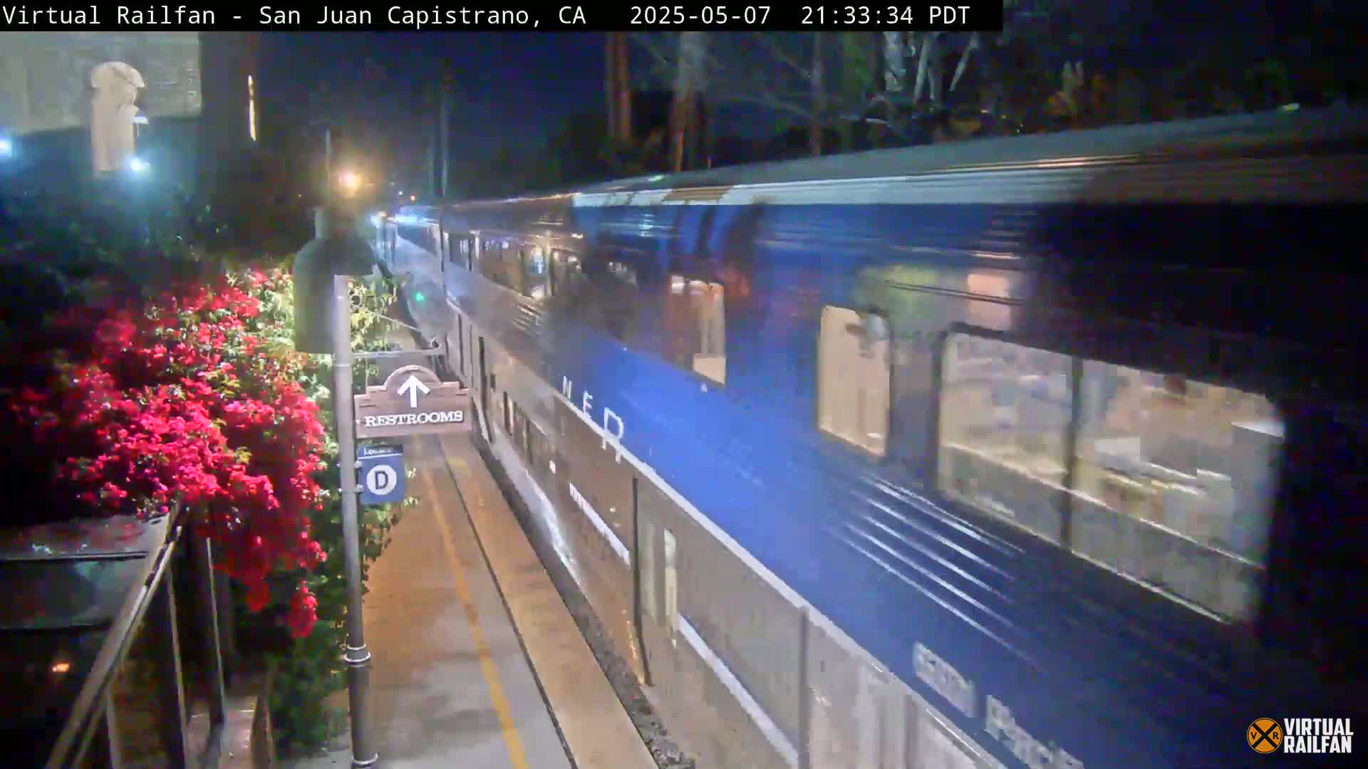 A long blue and gray passenger train moves past a nighttime train platform with red flowering bushes.