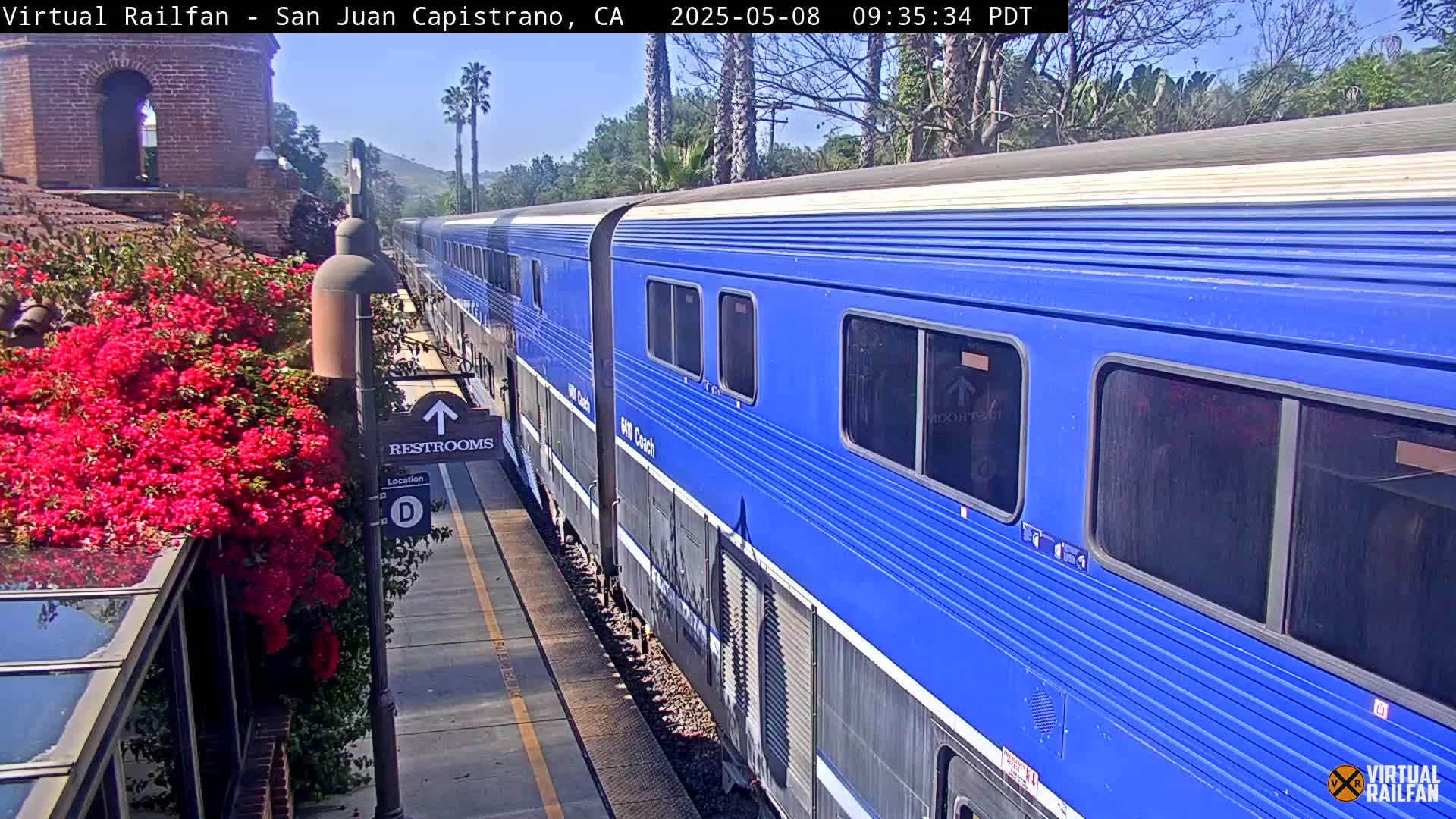 A long blue passenger train is at a station on a sunny day, next to a vibrant bush of red flowers.