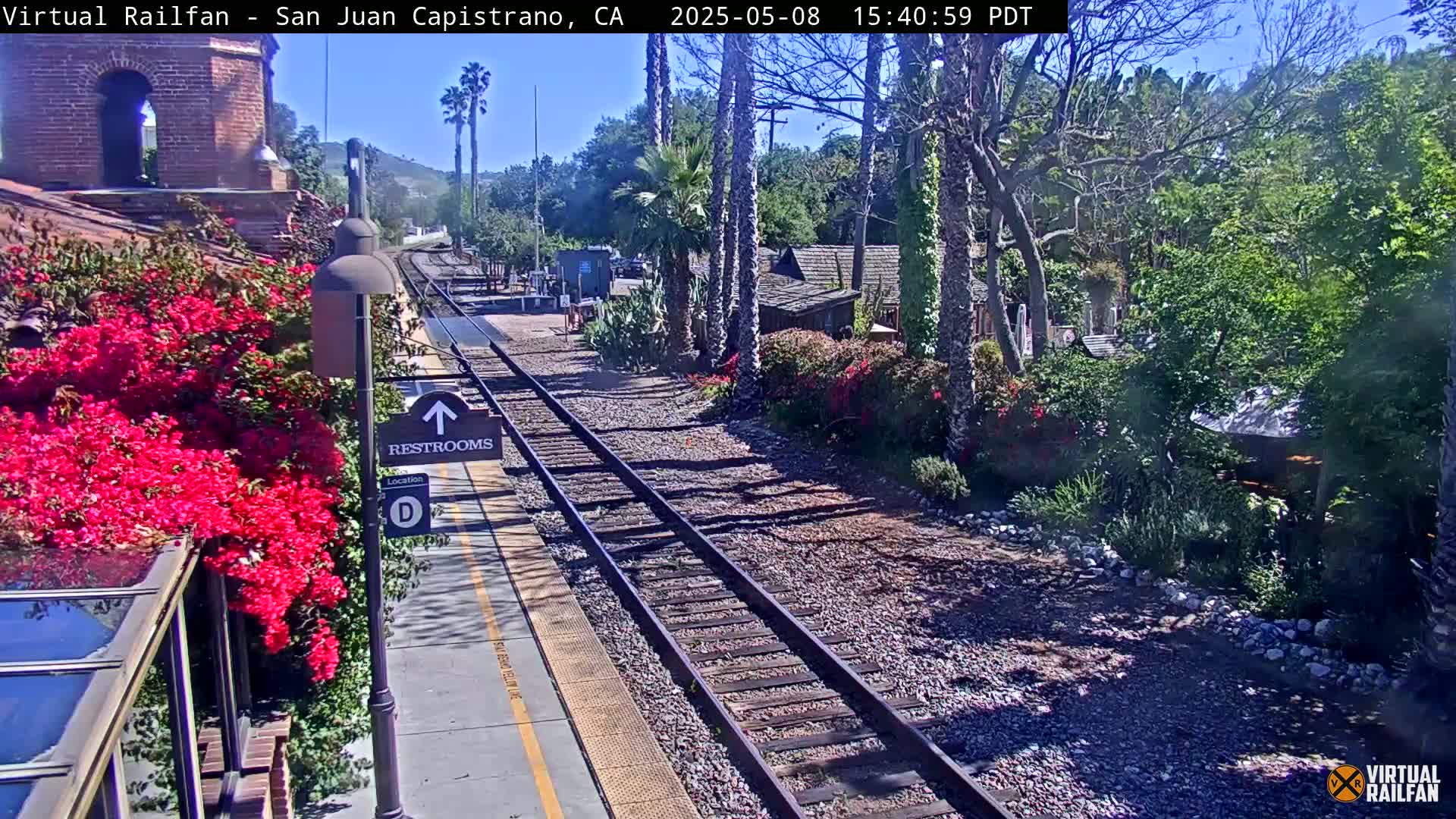 A sunny train station platform with vibrant pink flowers, railroad tracks, and a variety of buildings and greenery in the background.