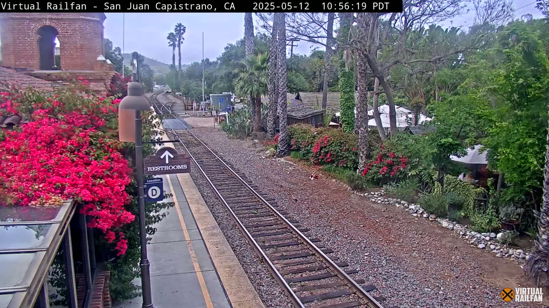 A train station platform with vibrant pink flowers, railroad tracks, and lush greenery under an overcast sky.