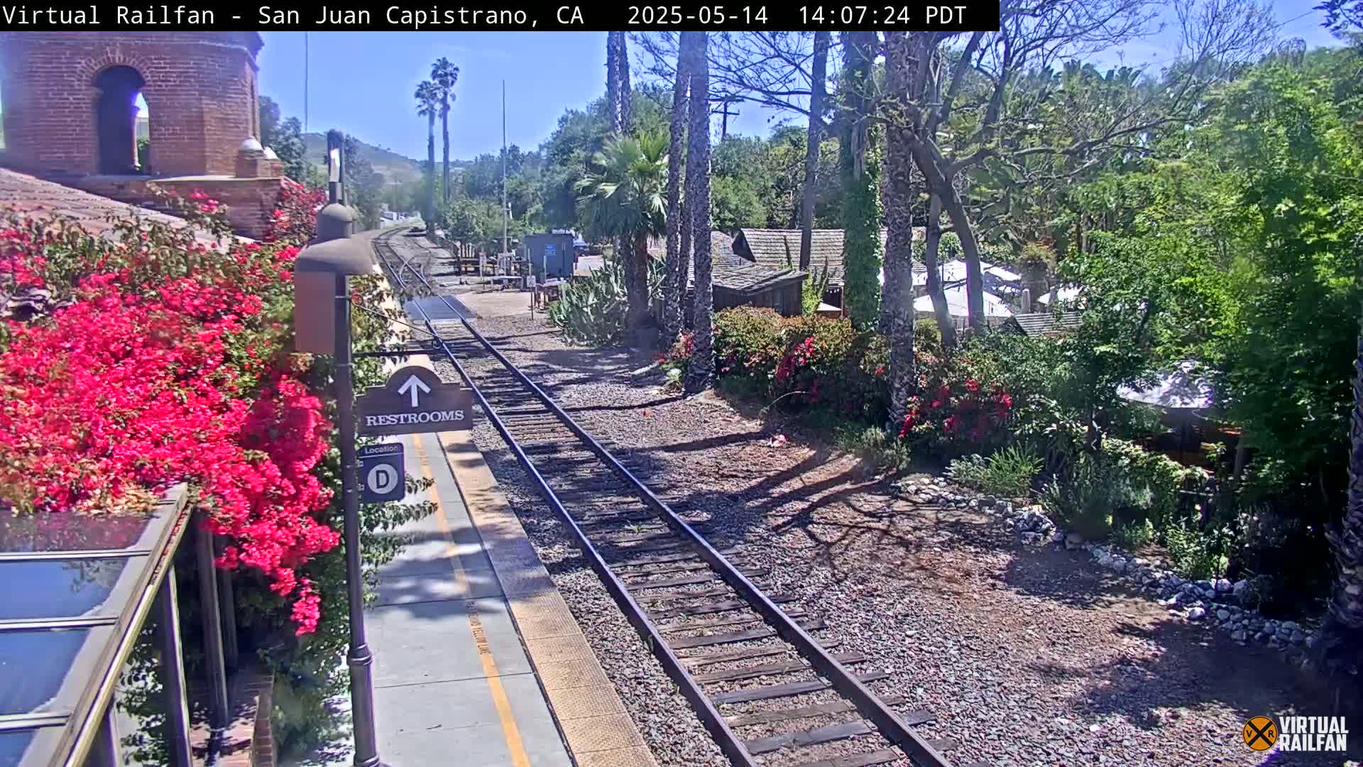 A sunny train station platform with bright pink bougainvillea, railroad tracks, and lush green vegetation.