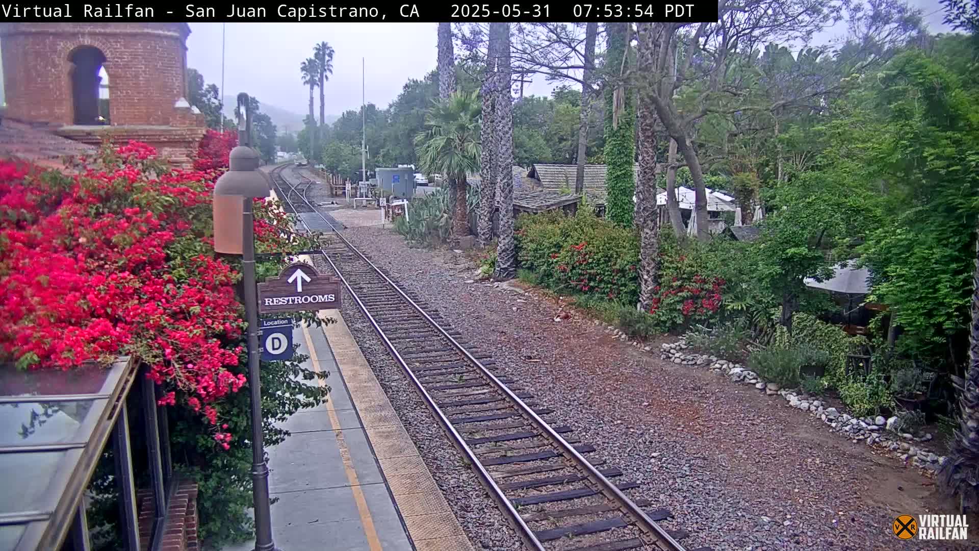 A train track runs through a lush, green landscape on an overcast day, with vibrant pink flowers blooming near a train platform.